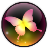 夢工廠影視v2.0.5.0 官方正式版